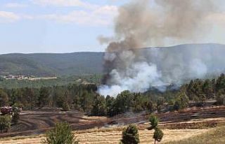 Tarlada çıkan yangın ormana sıçradı: Ekipler...