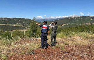 Tarsus’ta orman yangınlarına karşı ortak devriye