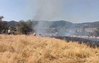 Tavşanlı Balıköy’de çıkan yangın büyümeden...