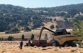 Tavşanlı’da çiftçiler emeklerinin karşılığını...