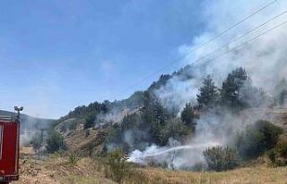 Tavşanlı’da orman yangını erken müdahaleyle...