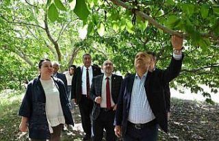 TBMM Zirai Don Araştırma Komisyonu Çivril’de...