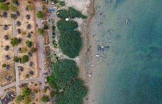 Tehlike çanlarının çaldığı Sapanca Gölü için...