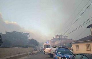 Tekirdağ Şarköy’deki orman yangınına havadan...