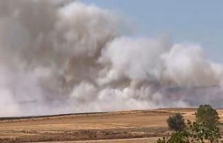 Tekirdağ’da çıkan anız yangını kontrol altına...