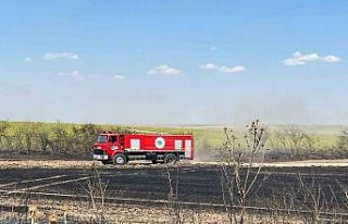 Tekirdağ’da çıkan tarla yangını söndürüldü