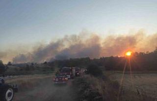 Tekirdağ’da eski kömür ocağı sahasında yangın