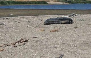 Tekirdağ’da gölette su seviyesi alarm veriyor