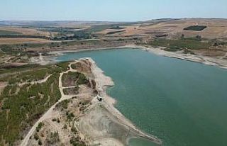 Tekirdağ’da kuruyan Türkmenli Gölet’inde ağaçlar...