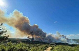 Tekirdağ’da orman yangını