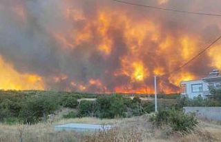 Tekirdağ’daki orman yangını yerleşim alanlarını...