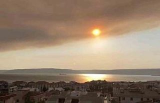 Tekirdağ’daki orman yangınının dumanı Çanakkale...