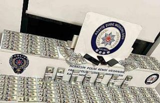 Telefon dolandırıcıları 85 bin 400 dolar ile yakalandı