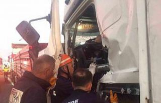 TEM’de kamyon tıra arkadan çarptı: Yaralı sürücü...