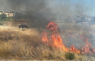 Temizlenmeyen kuru otlar yangına neden oldu
