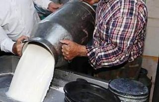 Ticari süt işletmelerince 999 bin 348 ton inek sütü...