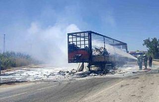 Tır alevlere teslim oldu