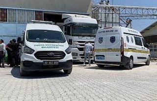 Tırdan boşaltılan yemlerin altında kalarak hayatını...