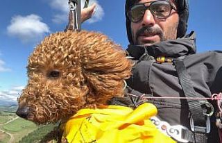 Toby isimli köpek paraşütle atlayıp 330 metrede...