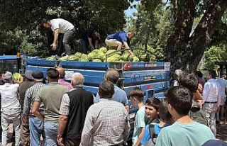 Tokatlı genç, dedesinin hayrına tonlarca karpuz...