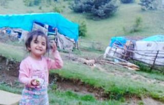 Tokat’ta 3,5 yaşında kaybolan Evrim’den 7 yıldır...