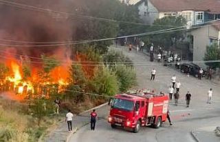 Tokat’ta arı kovanları küle döndü