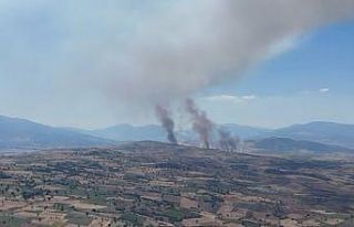 Tokat’ta ekili arazide çıkan yangına müdahale...