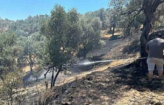 Torbalı’daki yangın tamamen söndürüldü