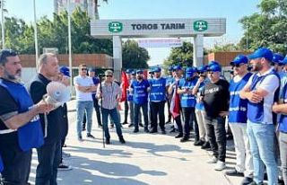 Toros Tarım işçileri 56 gündür grevde