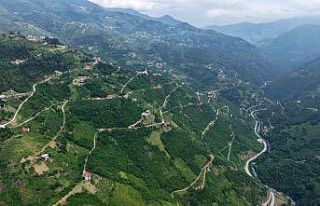 Trabzon’un yol ağı, Washington gidiş-geliş mesafesini...