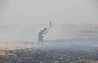 Trafodan çıkan yangında 50 dönüm tarım arazisi...