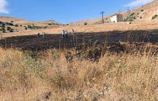 Tunceli’de arazi yangını