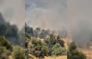Tunceli’de çıkan yangın büyük ölçüde söndürüldü