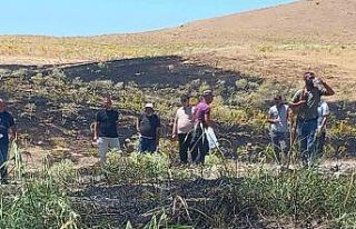 Tunceli’de ekili alanda çıkan yangın, zamanında...