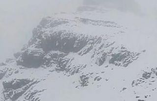 Tuncelili yaylacılar Erzurum’da kara yakalandı