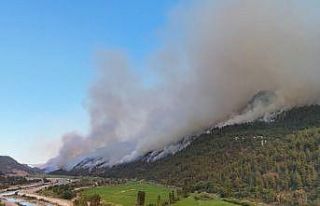 Türkiye orman yangınlarıyla mücadelede alarmda:...
