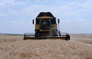 Türkiye’nin buğday merkezlerinden Edirne’de...