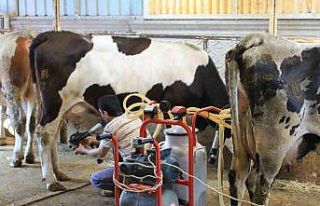 TÜSEDAD’dan çiğ sütte maliyet konusunda iş...