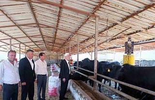 TZOB Başkanı Bayraktar: "Bu yıl görülen...