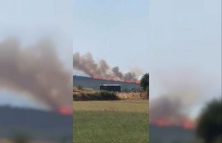 Uluabat Gölü’nden defalarca sorti yaptılar...Bursa’da...