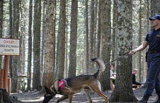 Uludağ’ın ormanlarında jandarmadan 24 saat motorize...