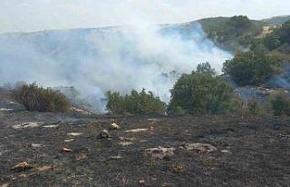 Uludere mahallesinde çıkan yangın kontrol altına...
