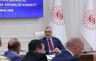 Ulusal İş Sağlığı ve Güvenliği Konseyi, Bakan...