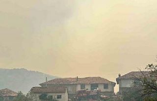 Uşak’ta havadan ve karadan müdahale edilen orman...