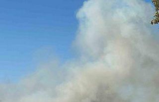 Uşak’ta iki ayrı noktada yangın