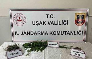 Uşak’ta jandarma ekiplerince uyuşturucu operasyonu