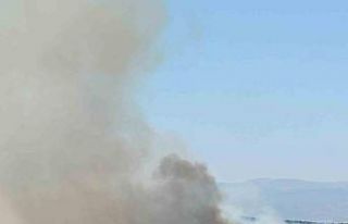 Uşak’ta meşelik alanda yangın çıktı