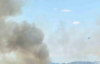 Uşak’ta ormanlık alanda çıkan yangına müdahale...