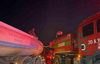 Uşak’ta ormanlık alandaki yangınlar kontrol altına...