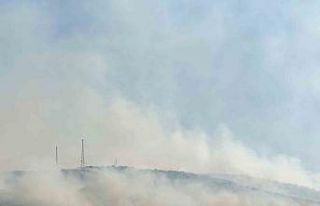 Uşak’ta tarım arazisinde başlayan yangın meşelik...